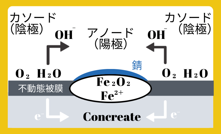 アノード反応 : Fe→Fe2+ +2e- 
カソード反応 : H2O + 1/2O2 +2eー→2OHー 